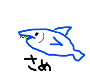 794351139