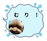 794351763