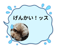 794351764