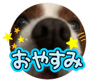 794352276