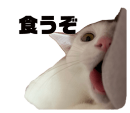 794363140