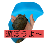 794369378