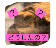 794369386