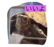 794369390