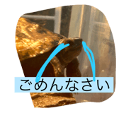 794369393