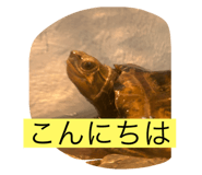 794369397