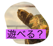 794369400