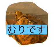 794369402