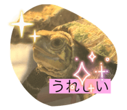 794369403
