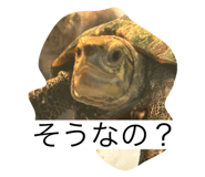 794369406
