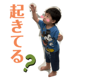 794372446