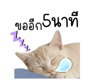 794375716