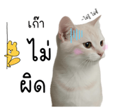 794375726
