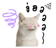 794375728