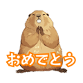 794376835