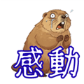 794376840
