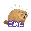 794376842