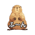 794376845