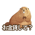 794376861