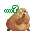 794376870