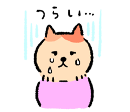 794377443