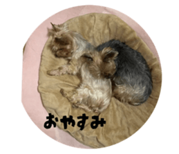794383648