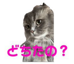 794383854