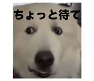 794387252