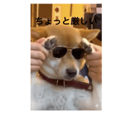 794387256