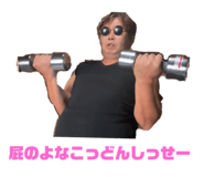 794390666