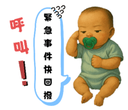 794393619