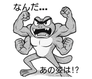794405623