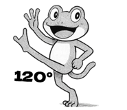794405628