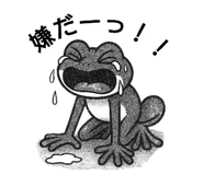 794405640