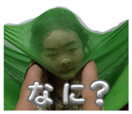 794413165