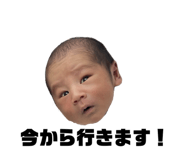 794414666