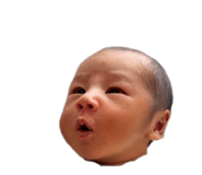 794414674