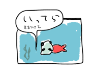 794421715