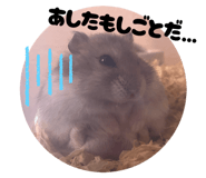 794423047