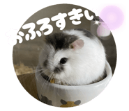 794423048