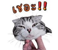 794425070