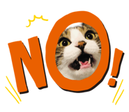 794425364