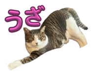794425367