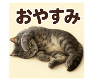 794443365