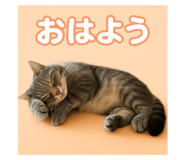 794443367