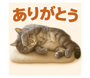 794443368