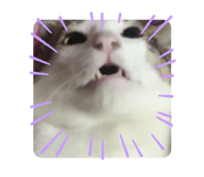 794450557