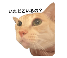 794452785