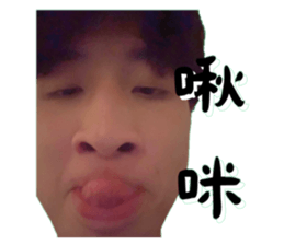 794455628