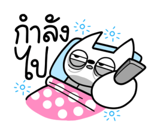 ลายที่ 9